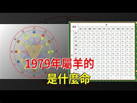 1979年五行属什么 電梯機房